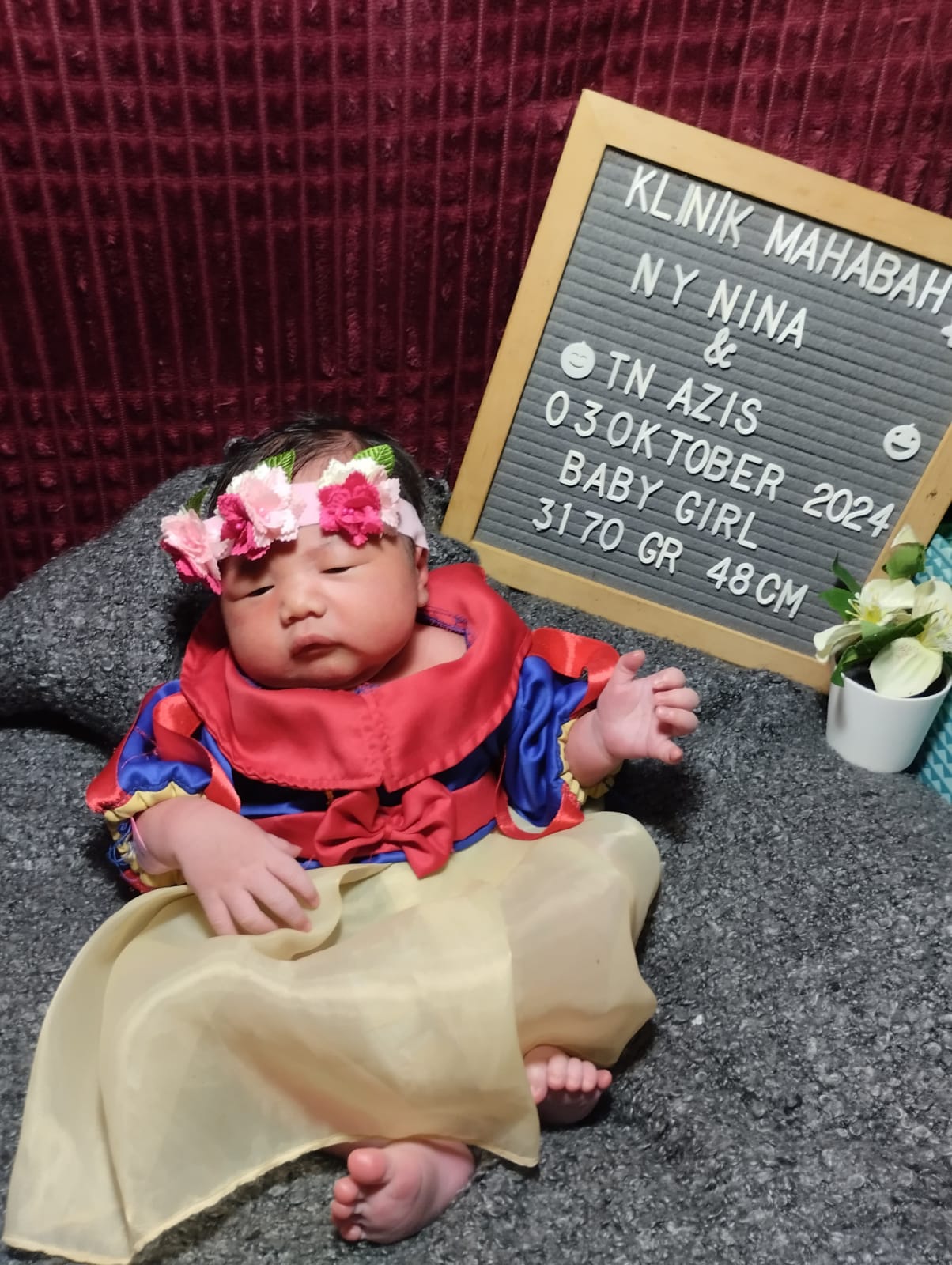 WhatsApp Image 2024-11-12 at 13.54.14